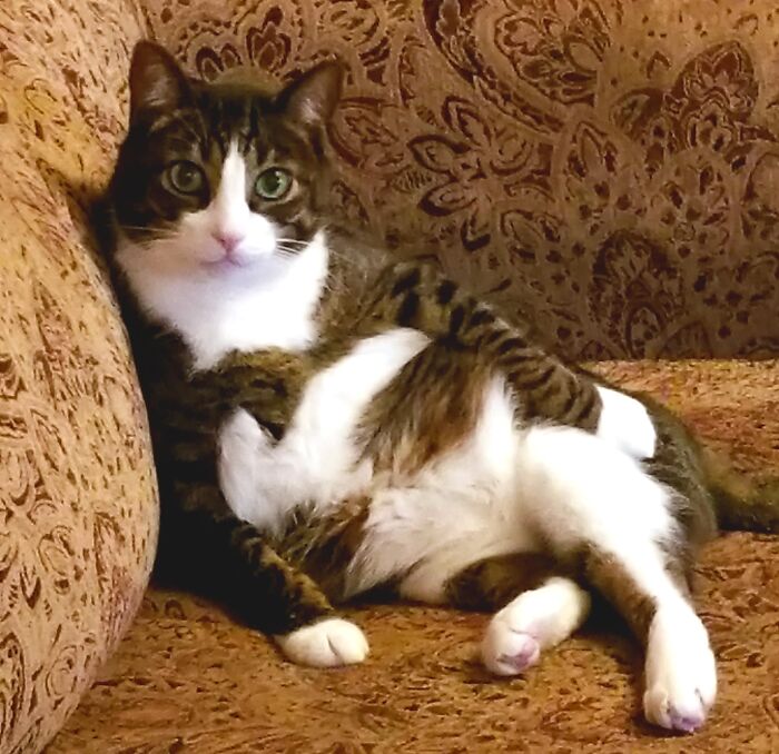 Meet Bob, In His Sexy Pose!