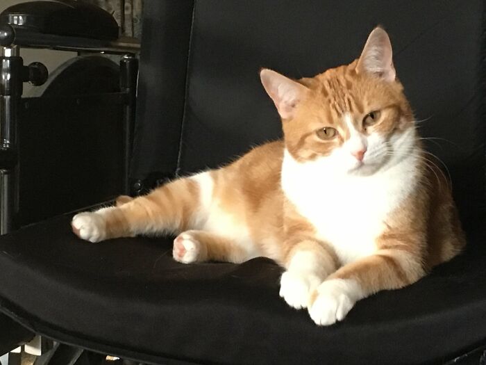 She Knows She Can Melt People With Her Face. Plus Get Away With Almost Everything.