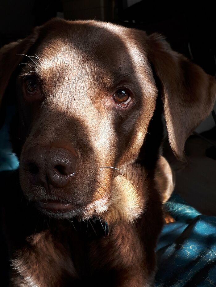 The Sun Always Returns