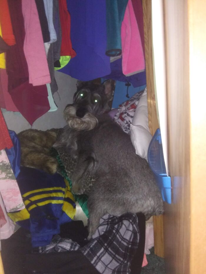 When You Forget To Close The Closet