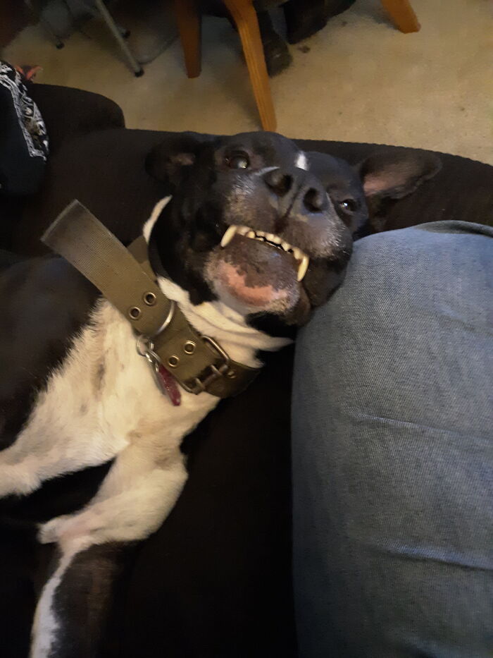 Ok Fine I Will Look At The Camera This One Time!