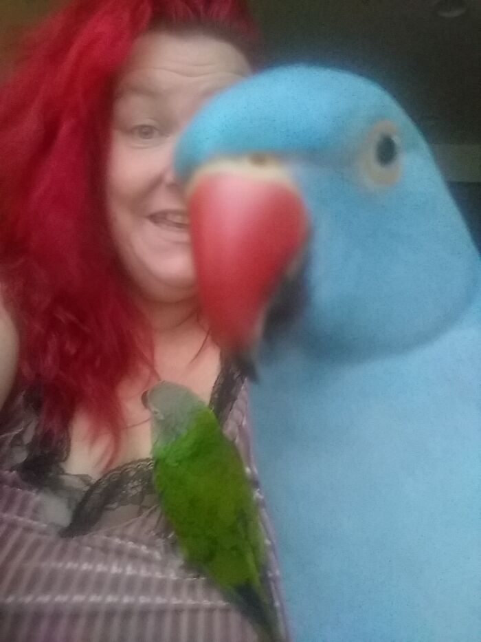 Princess Dude And The Wogg!