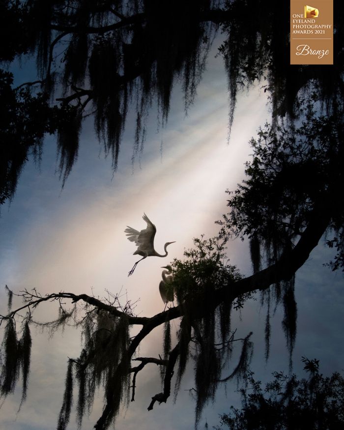 "Secret Garden" By Fenqiang Frank Liu. Bronze In Fine Art, Other