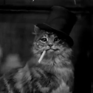 franziskapacher avatar