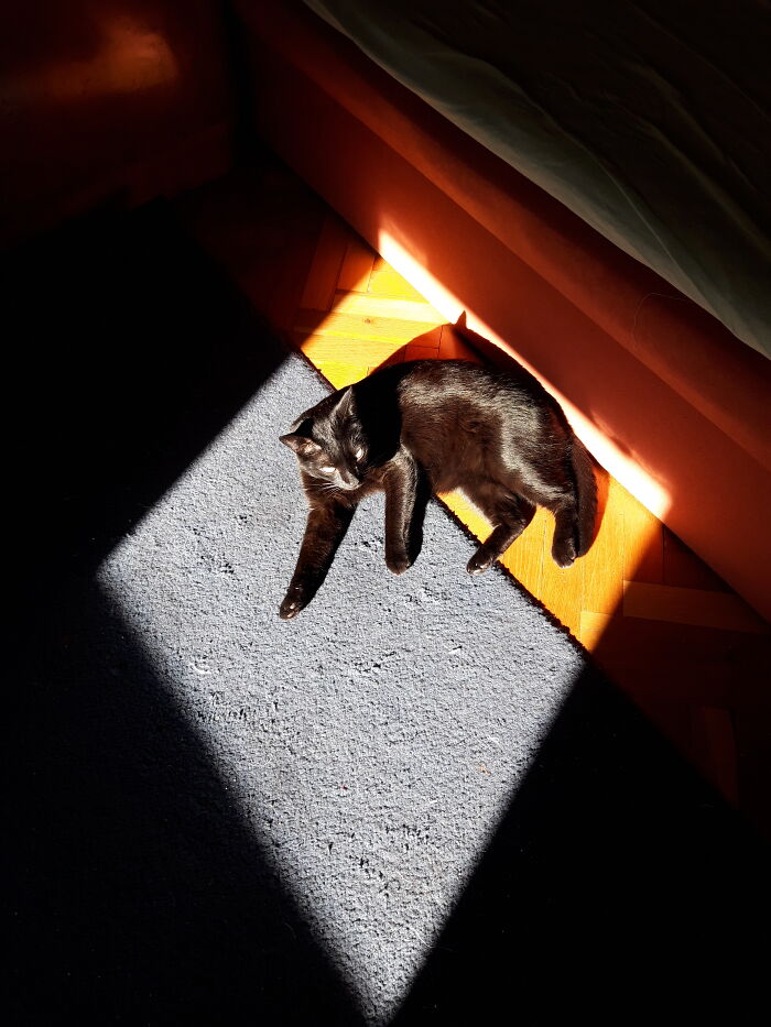 Best Spot In The House 🌞