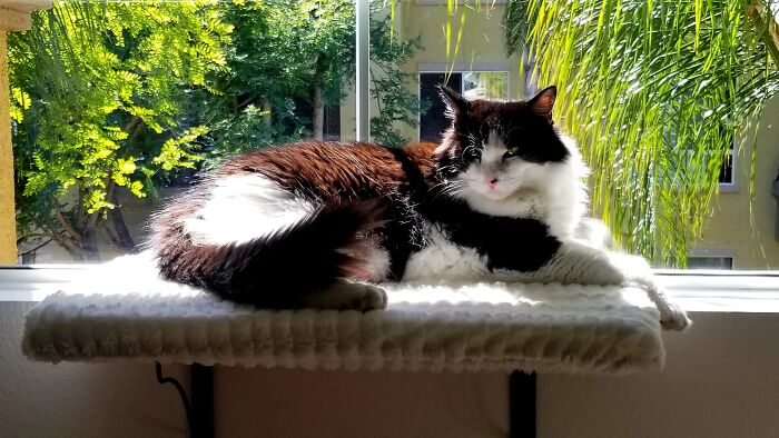 I Have The High Ground.