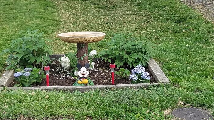 The Start Of A Flowerbed