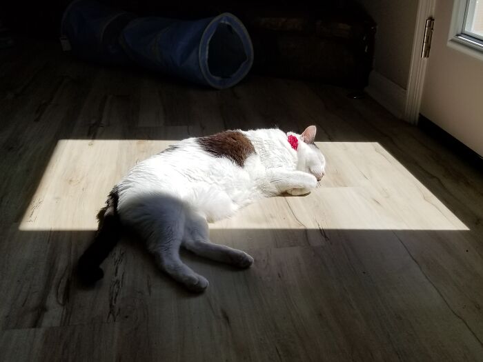 Her Saturday Morning Routine.