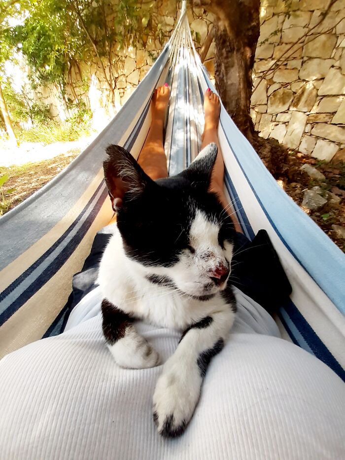 Chillin In My Hammock Sunny Crete...