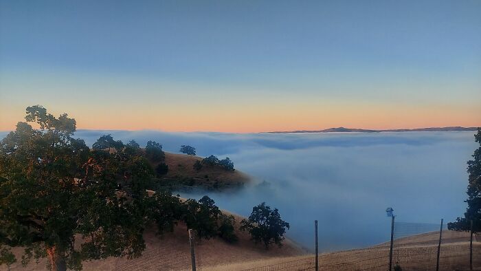 My Ranch In San Jose, California