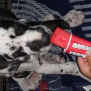 danaemartin1989 avatar