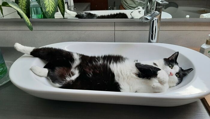 Pippa Likes The Sink