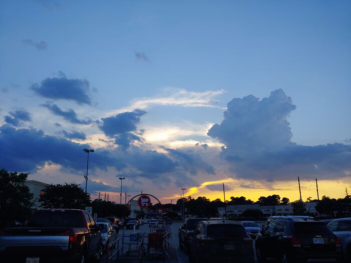 Taken In The Houston Area In 2021 - I See A Fluffy Rabbit On Someone's Belly!!