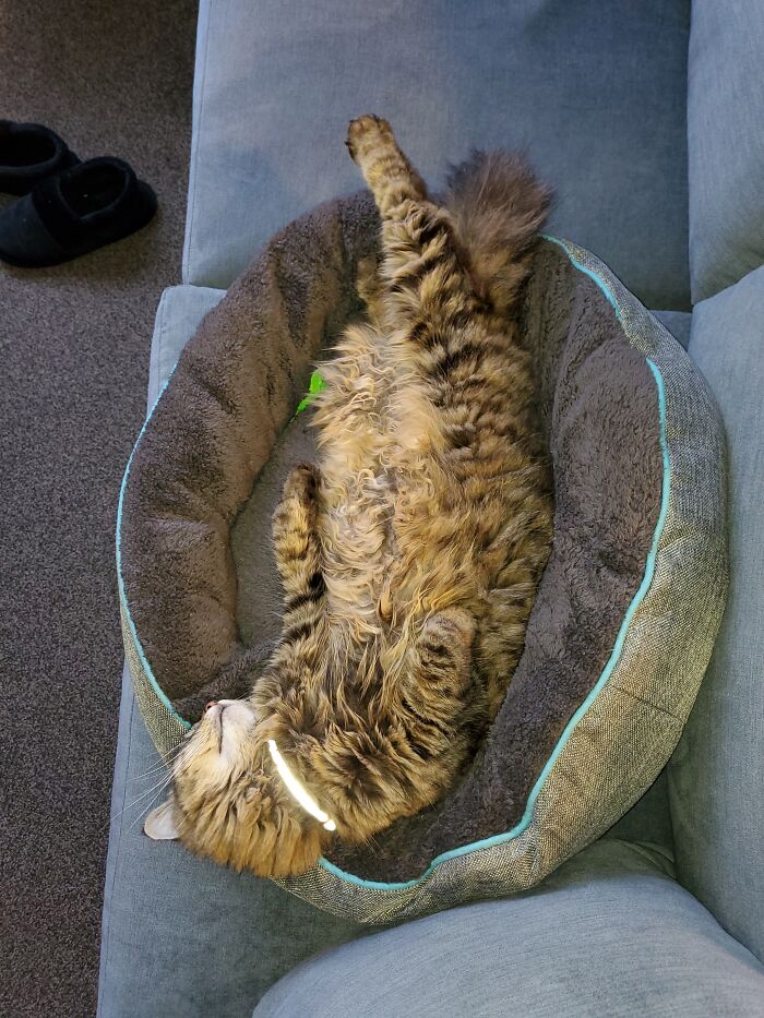 Just Need A 🍸 And Squint To Make Ut Look Like A Sun Lounger