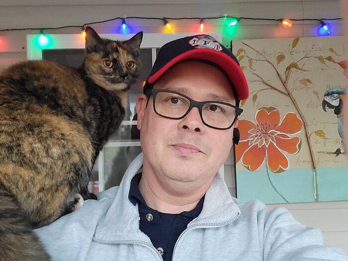 Parrot Cat Vida Enjoying The Sunroom With Her Human Servant.