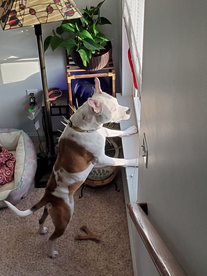 Hey, Kids! Get Off My Lawn!