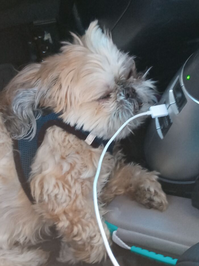 This Could Probably Go For Cute Or Funny Lol