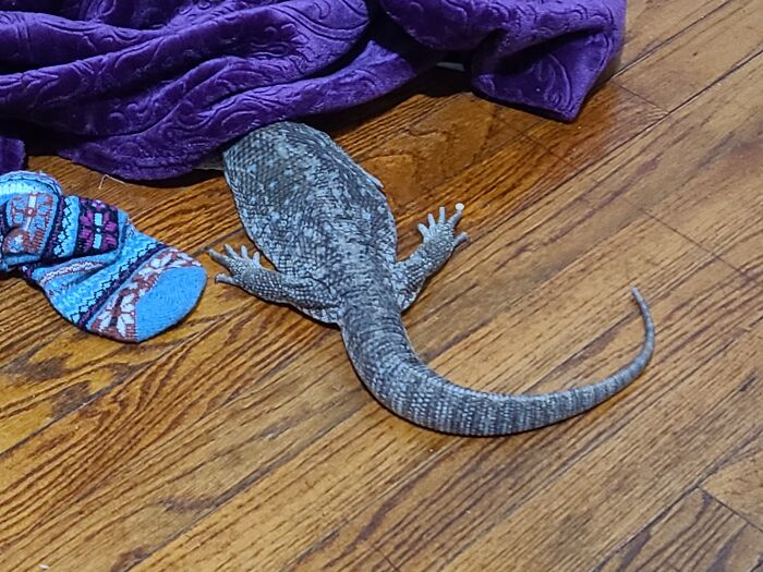 If I Can't See You, You Can't See Me.