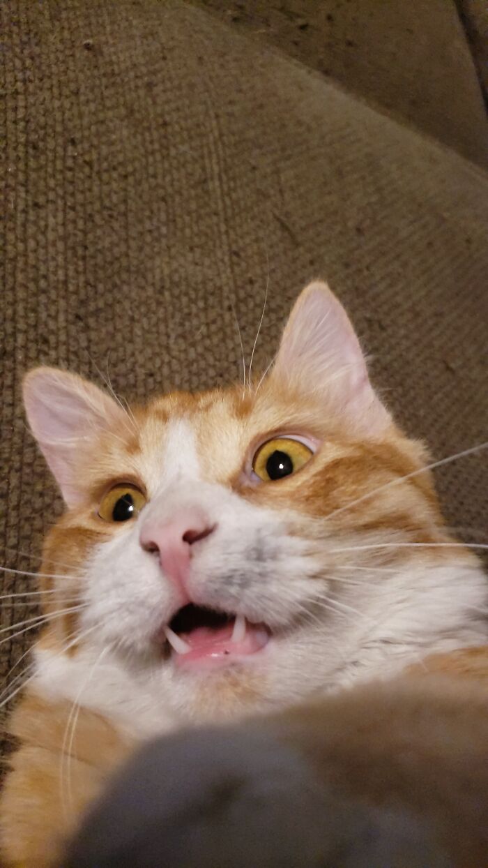 I Don't Know If This Is Considered Derpy But It's Cute