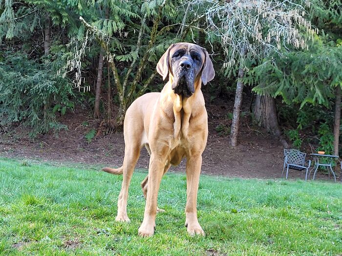 What... Are You Gonna Do 'Bout It!