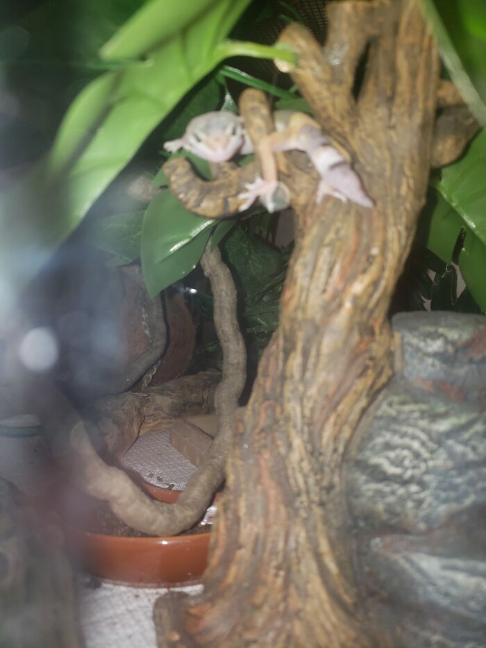 Sorry It's So Blurry