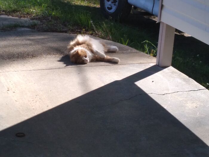 He Was Just Sunbathing