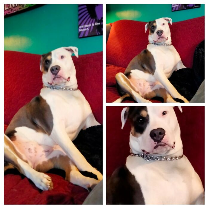 Okoye Sits Just Like A Hue-Mahn, Correct?