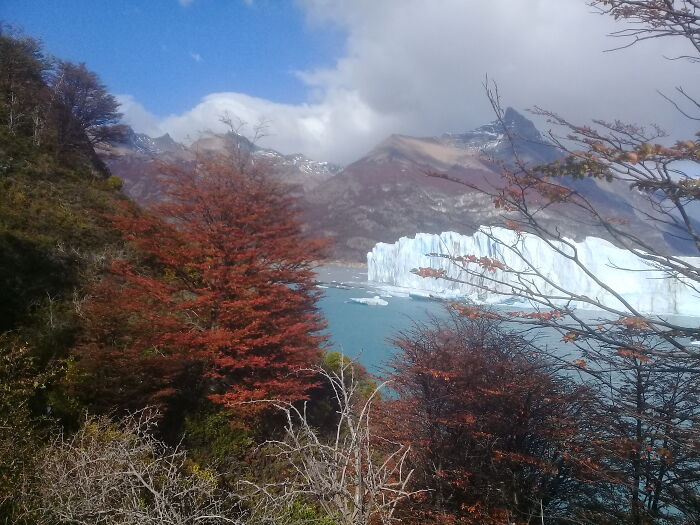 Perito Moreno Glacier, National Park Los Glaciares, Patagonia Argentina