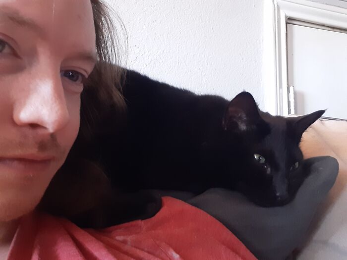 Everyday!! I Have A Cat Parrot!!