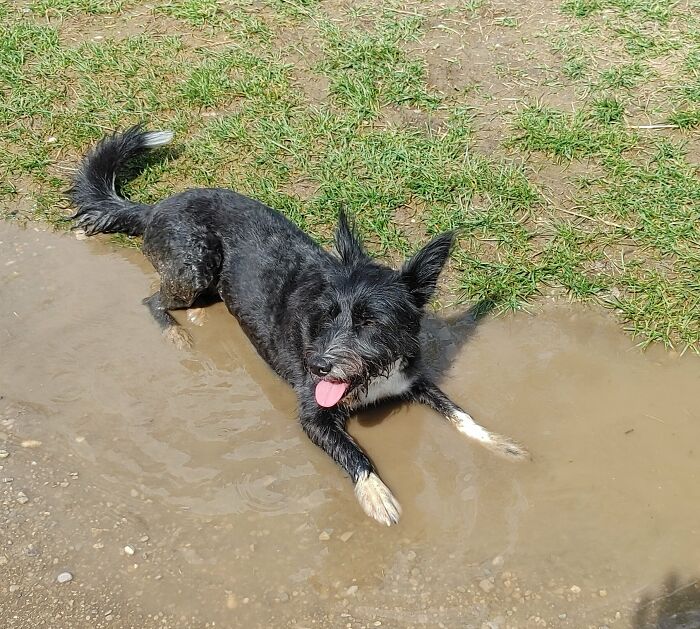 She Enjoys It So Much