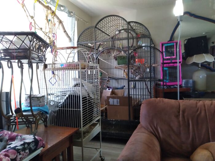 Have 2...and They're Small