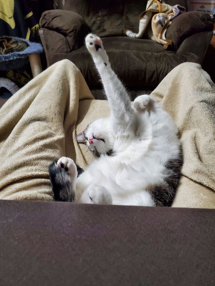 Sleeping Beauty...strechy.