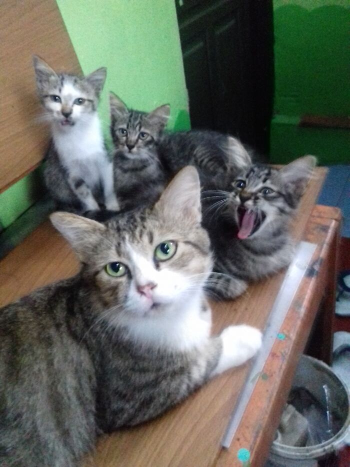 I Think No Dna Test Needed