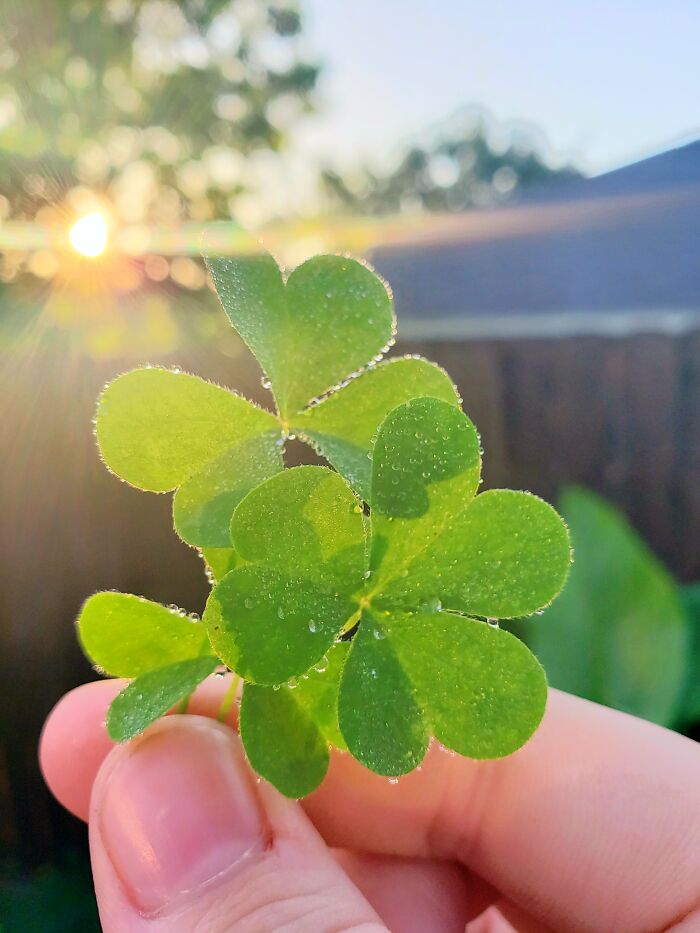 Not My Best Picture But It's Fine