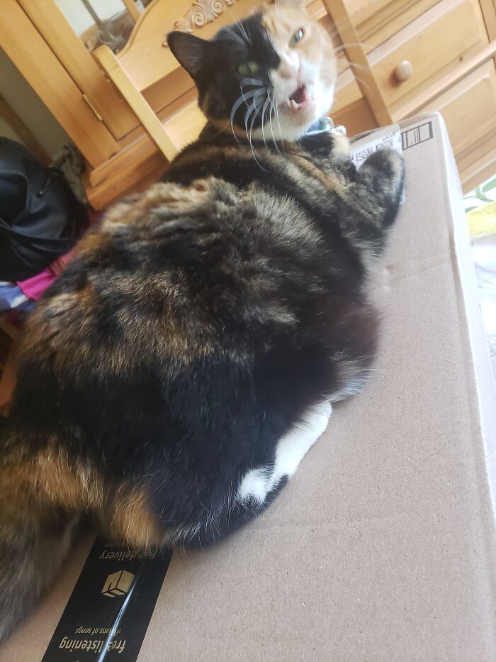 I Told You To Get My Good Side, Jessica...