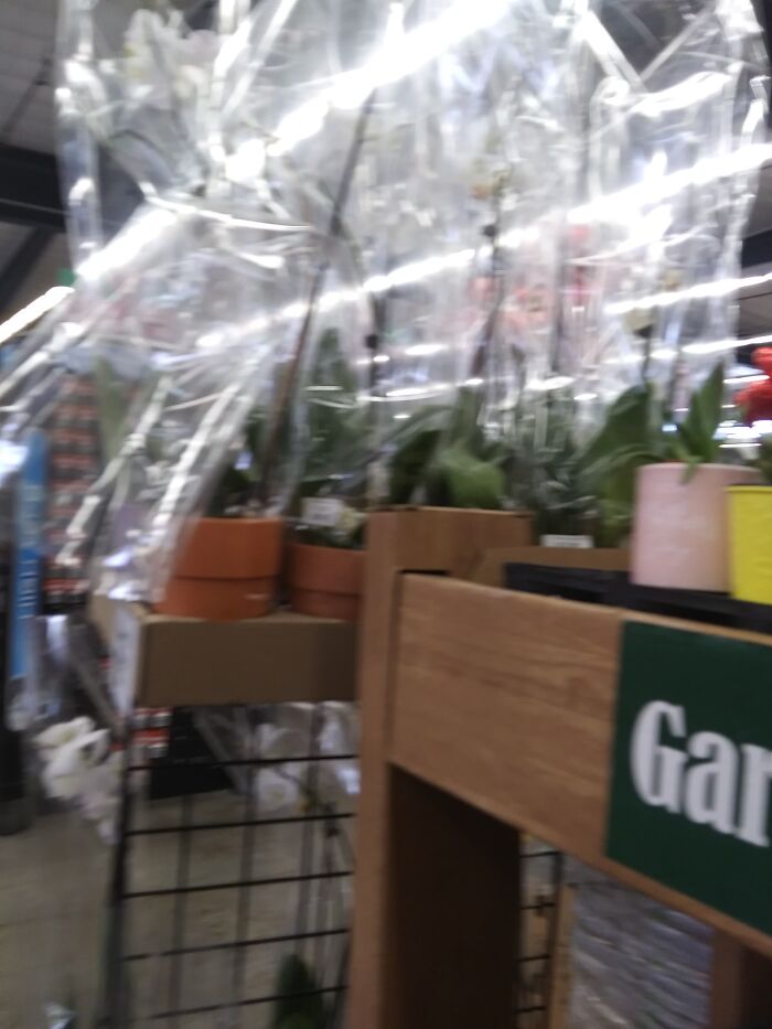 Flowers Didnt Have Petals Just Stem Lol And On Mothers Day