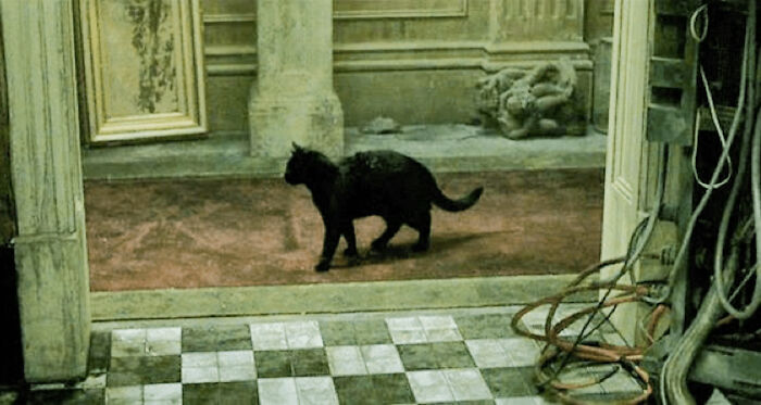 Have You Seen This One? Have You Seen This One?