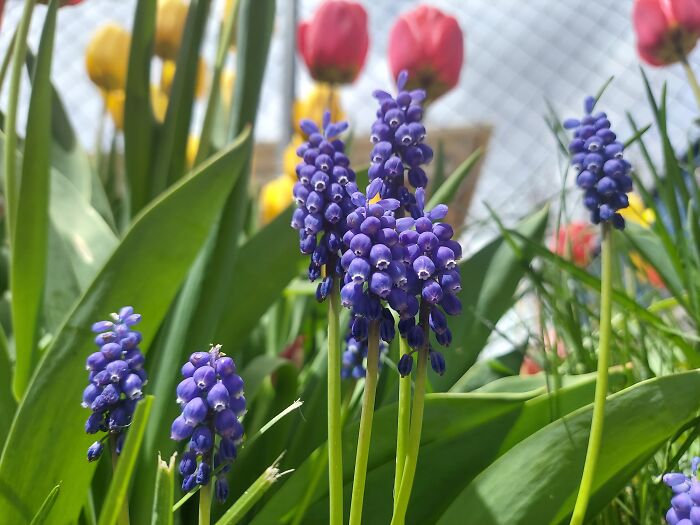 Not Sure What It Is It Was There When We Moved In