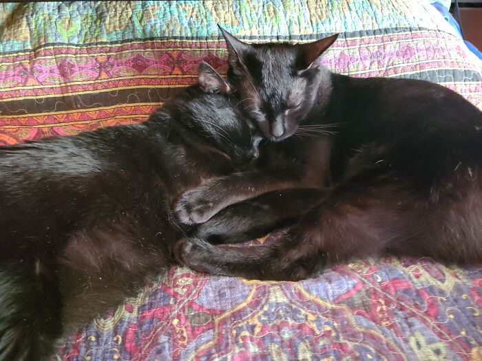 Shadows In The Dark, Angels In The Light