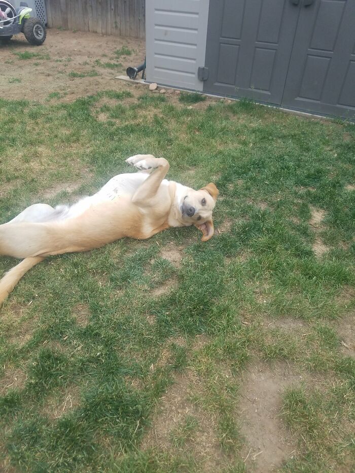 Rex Loving The Spring Months