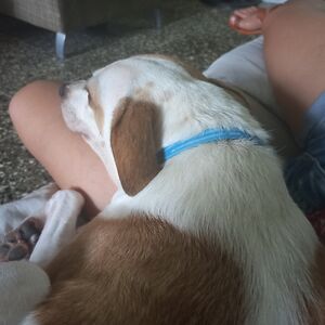 fabianasuanes avatar