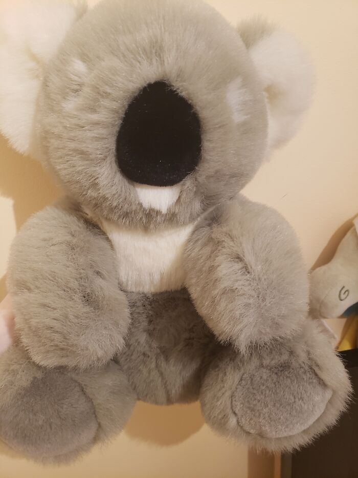 Coconut My Koala Plushie. Given To Me As Gift From A Late Family Friend.