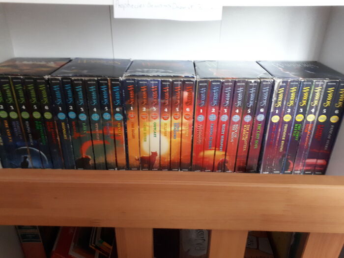 All Warrior Cats Books From Prophecies Begin To Dawn Of The Clans (Rest Of The Books Are Being Shipped) I Protect With My Life