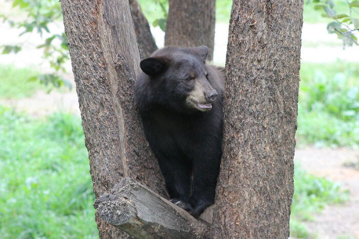 30 ‘Screw It, I’ll Deal With The Consequences Later’ Moments, As Shared By People Online