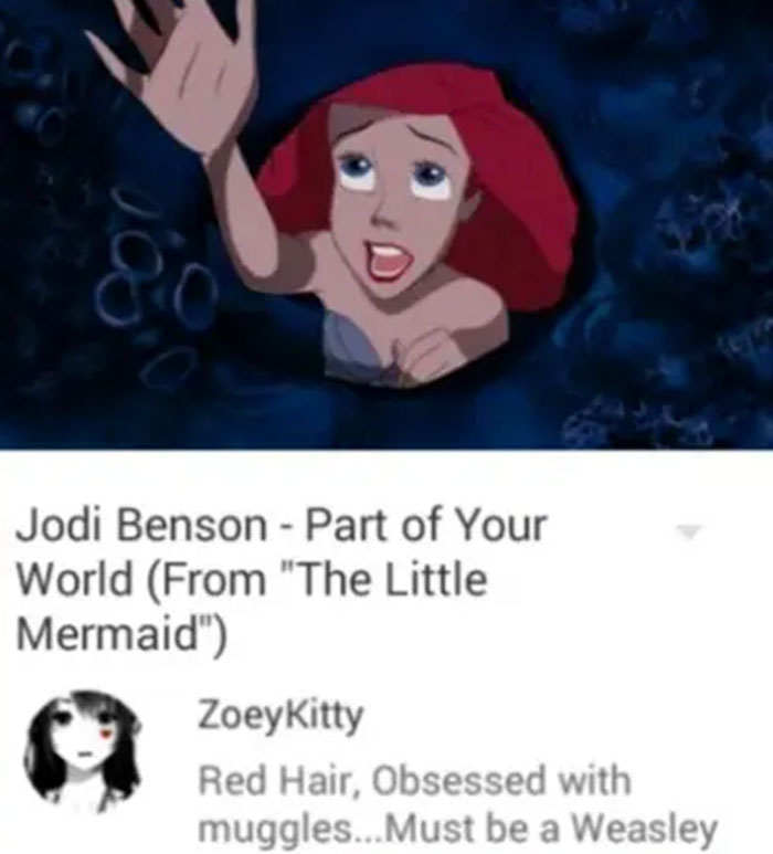 Insane-Youtube-Comments