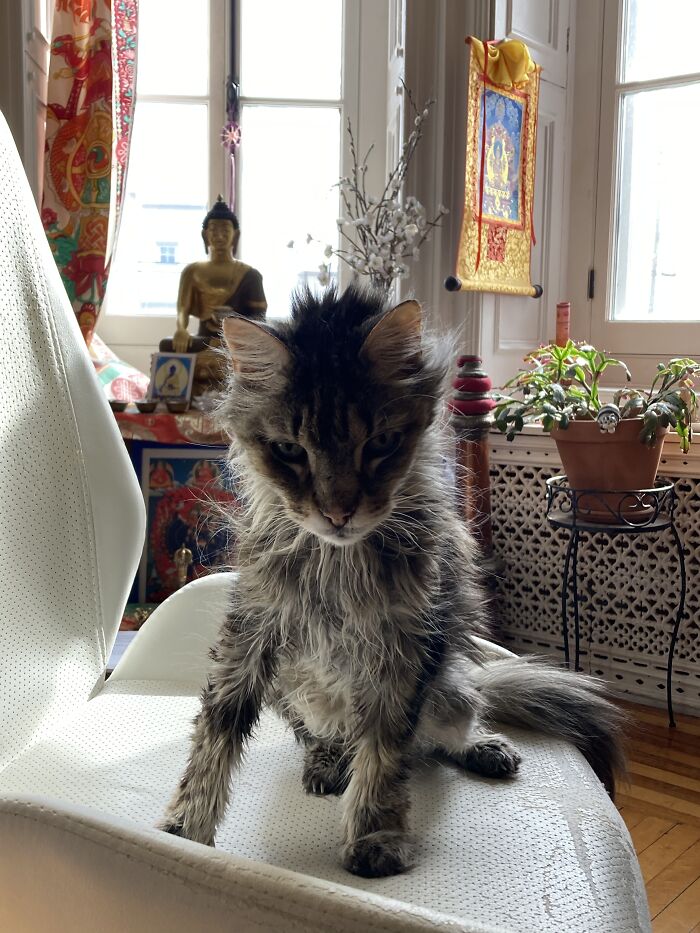 After 16 Years Of Meditation, He Arose From It