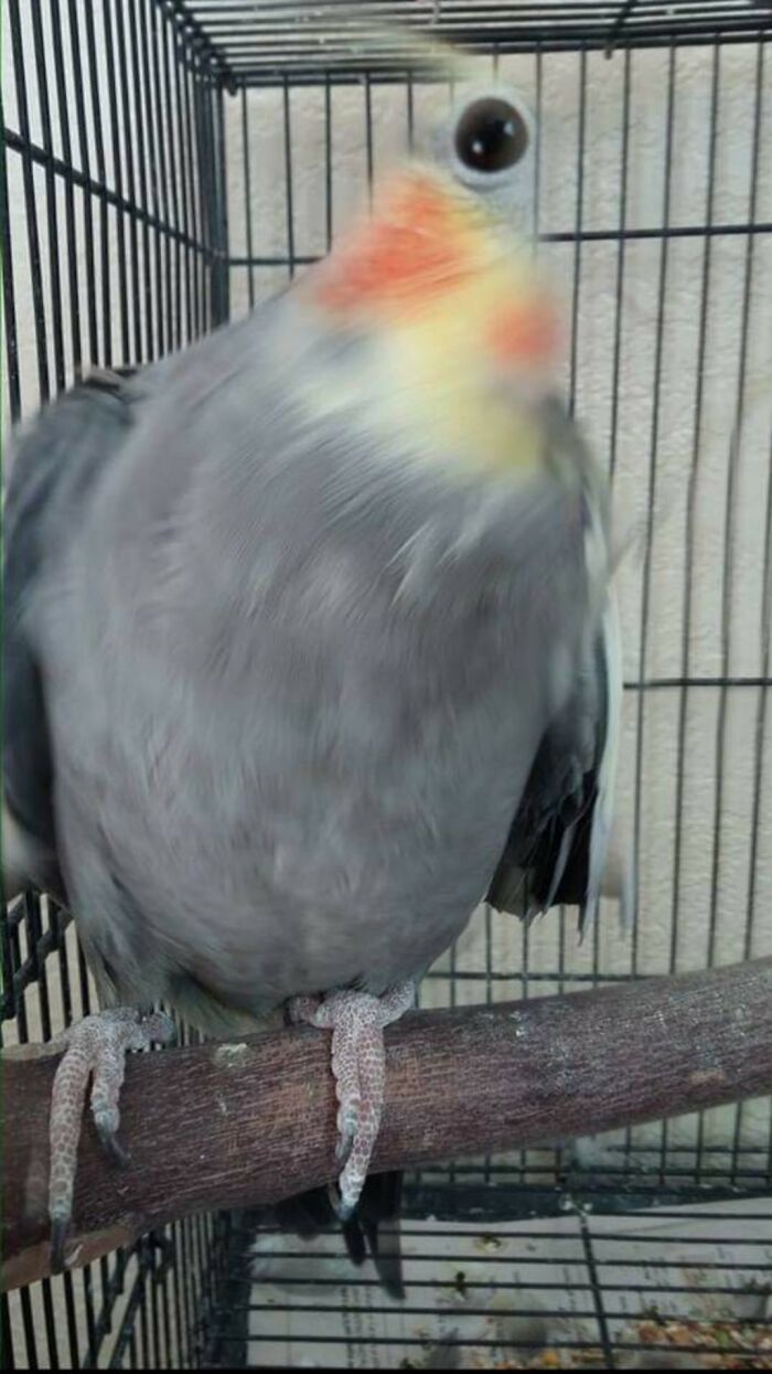 Picasso Couldn't Do Better