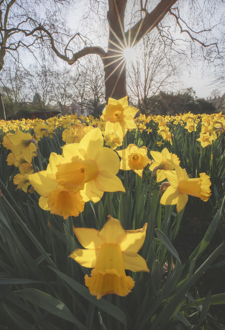 23 Reasons Why You Should Visit London During Spring