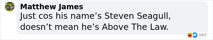 &ldquo;Oh, He Likes Those&rdquo;: Tesco&rsquo;s Staff Have Given Up Trying To Stop Steven The Seagull From Stealing Any More Crisps