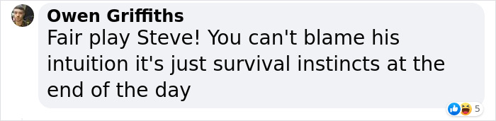 &ldquo;Oh, He Likes Those&rdquo;: Tesco&rsquo;s Staff Have Given Up Trying To Stop Steven The Seagull From Stealing Any More Crisps